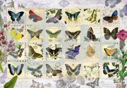 Anatolian Kelebekler / Butterfly Stamps 500 Parça 3583