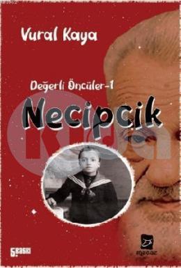 Necipcik