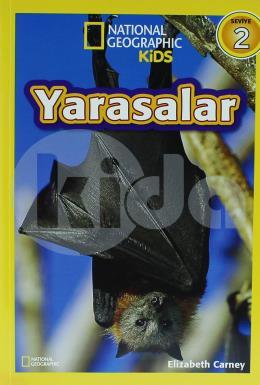 Yarasalar