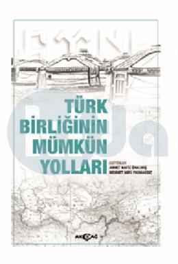 Türk Birliğinin Mümkün Yolları