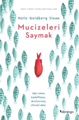 Mucizeleri Saymak