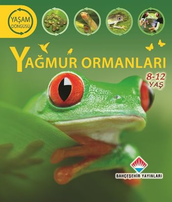 Yaşam Döngüsü: Yağmur Ormanları