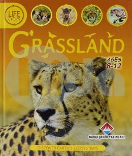 Life Cycles - Grassland (Ciltli)