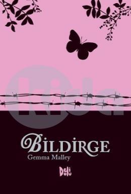 Bildirge