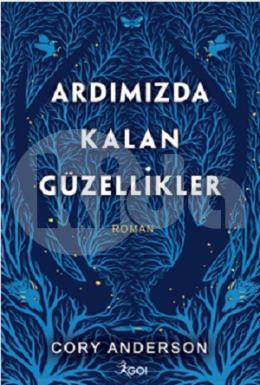 Ardımızda Kalan Güzellikler (Ciltli)