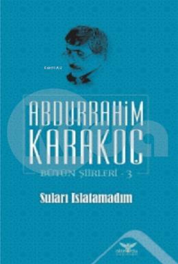 Suları Islatamadım Bütün Şiirleri 3