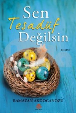 Sen Tesadüf Değilsin