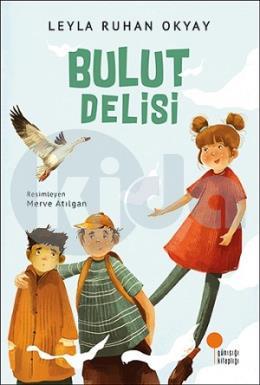 Bulut Delisi