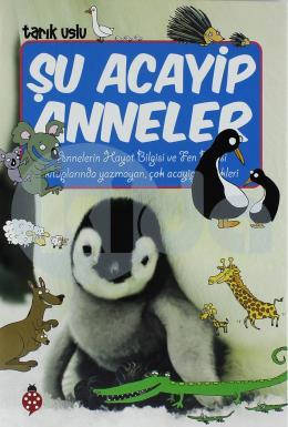 Şu Acayip Anneler