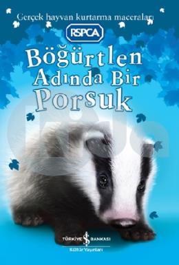 Böğürtlen Adında Bir Porsuk