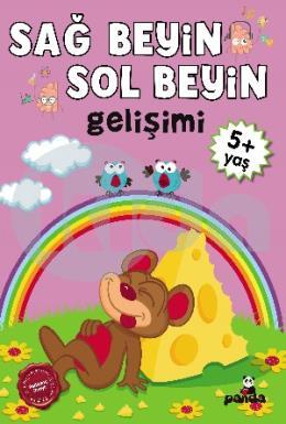 Sağ Beyin-Sol Beyin Gelişimi