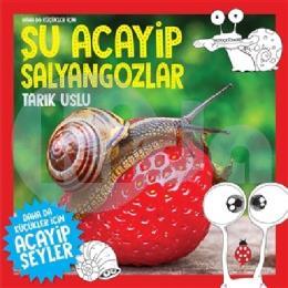 Daha da Küçükler İçin Şu Acayip Salyangozlar