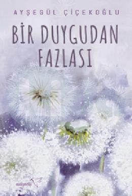 Bir Duygudan Fazlası