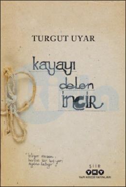 Kayayı Delen İncir