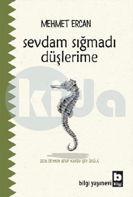 Sevdam Sığmadı Düşlerime