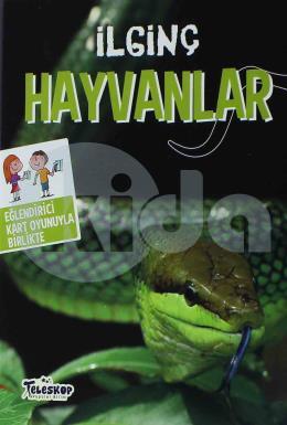 İlginç Hayvanlar