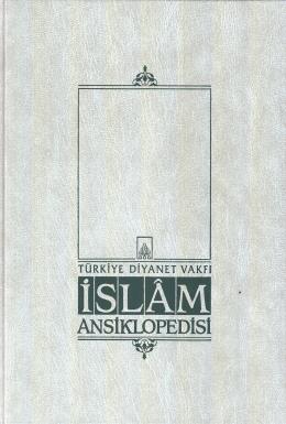 İslam Ansiklopedisi 29. Cilt