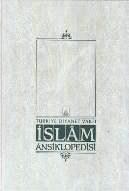 İslam Ansiklopedisi 34
