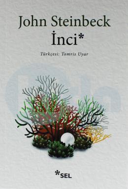 İnci