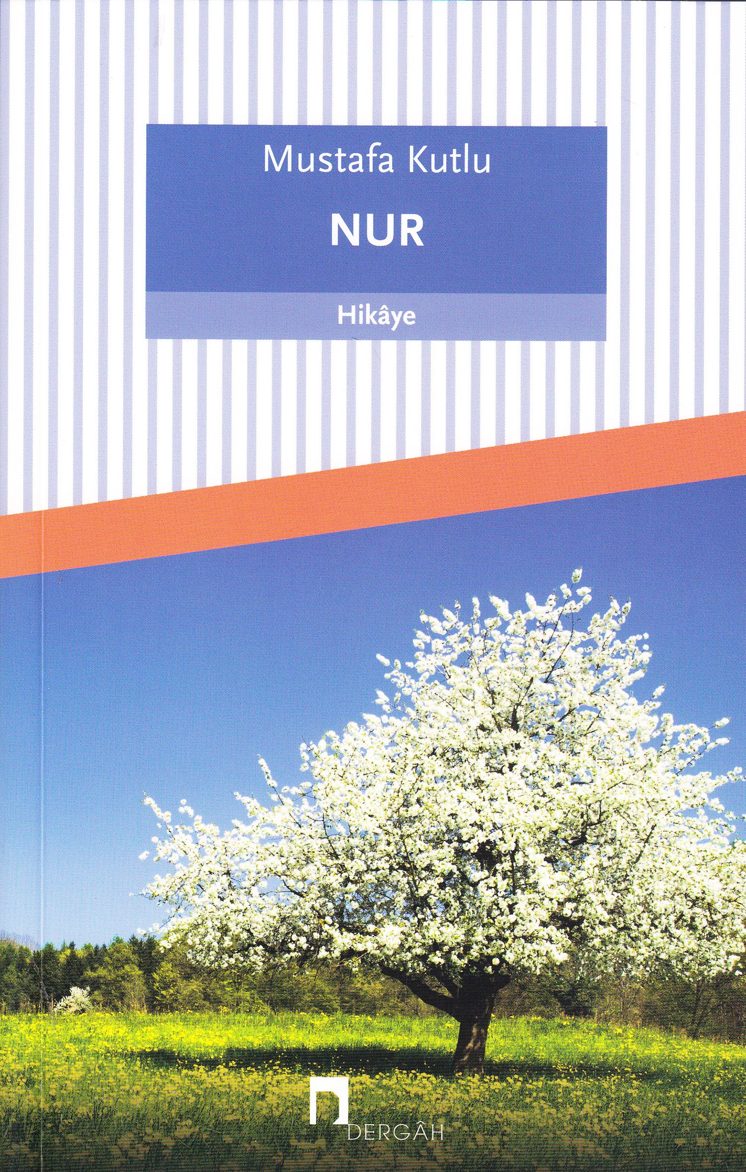 Nur